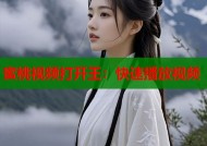 蜜桃视频打开王：快速播放视频